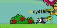 A Fly next to three strawberries