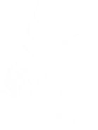 Spiderweb 1.png (6 KB) The first spider web.