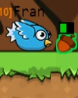 A Blue Bird eating an Acorn