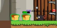 A Blackbird about to eat 2 Bread
