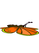 The 12th stage of the Butterfly's flying animation.