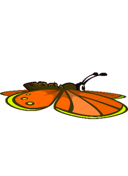 Butterfly, EvoWorld.io Wiki