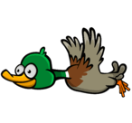 The first stage of the Duck's flying animation