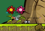 A Pigeon stuck between two flowers