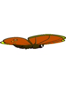 The fifth stage of the Butterfly's flying animation.