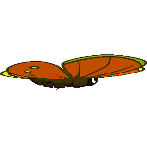 Butterfly, EvoWorld.io Wiki