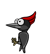 Woodpecker