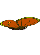 The fourth stage of the Butterfly's flying animation.