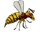 Hornet