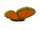 Butterfly (CS)