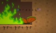A Butterfly that got past the fire of death