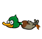 The third stage of the Duck's flying animation