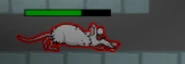 Damaged evil rat.png (20 KB) A damaged Evil Rat.