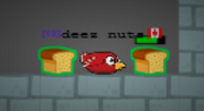 A Red Bird about to eat 2 Bread