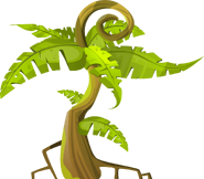 First tree in the jungle (old)