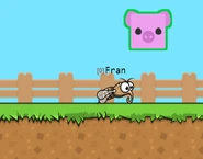 A Mosquito next to a Pig