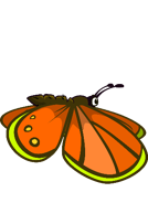 The 10th stage of the Butterfly's flying animation.
