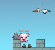 A pig that got on the Castle