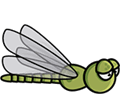 The Dragonfly's first stage of animation.