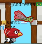 A Fly being eaten by a Red Bird and a Dragonfly also trying to get the meal