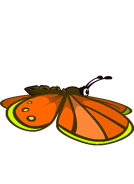 The 11th stage of the Butterfly's flying animation.