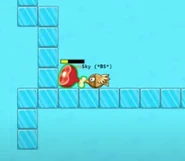 A piece of Meat being eaten by a Hawk