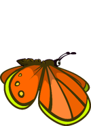 The ninth stage of the Butterfly's flying animation.
