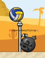 A Fly near a Bomb that somehow got to the volleyball court