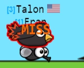 A Blackbird eating a Fly