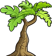 First tree in the jungle