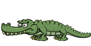 The Crocodile