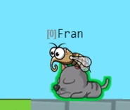 A Mosquito eating a Cat