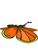 The eighth stage of the Butterfly's flying animation.