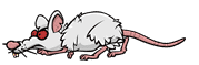 Evil Rat-3.png (3 KB) The third stage of the Evil Rat walking.