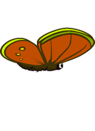 The third stage of the Butterfly's flying animation.