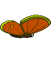 Butterfly-3