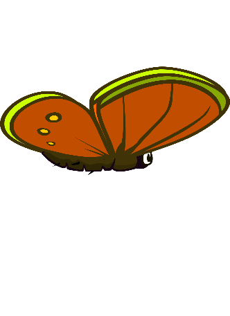 Butterfly, EvoWorld.io Wiki