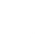 Spiderweb 3.png (6 KB) The third spider web.