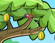 Screenshot 2024-04-03 132018.png (615 KB) A Parrot about to eat 2 Starfruit