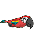 Loro2.png (4 KB) The fifth stage of the parrot's animation.