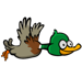 Duck2