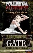 Alchemist Gate Izumi Curtis