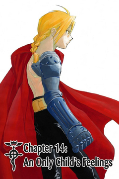Fullmetal alchemist brotherhood 14 best sale