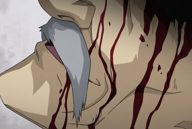 Watch Fullmetal Alchemist: Brotherhood Season 1 Episode 54 - Beyond the  Inferno Online Now