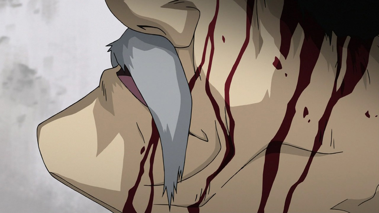 Watch Fullmetal Alchemist: Brotherhood Season 1 Episode 52 - Combined  Strength Online Now