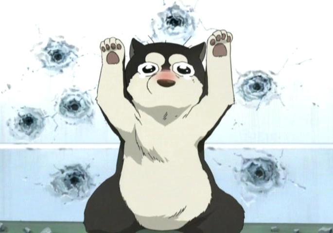 Anime Dog of the Day on X: Today's anime dog of the day is: Den from  Fullmetal Alchemist: Brotherhood (2009)  / X