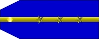 Sergeant Major insignia