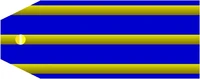 Warrant Officer insignia