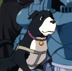 Anime Dog of the Day on X: Today's anime dog of the day is: Den from  Fullmetal Alchemist: Brotherhood (2009)  / X