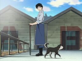 EP37A